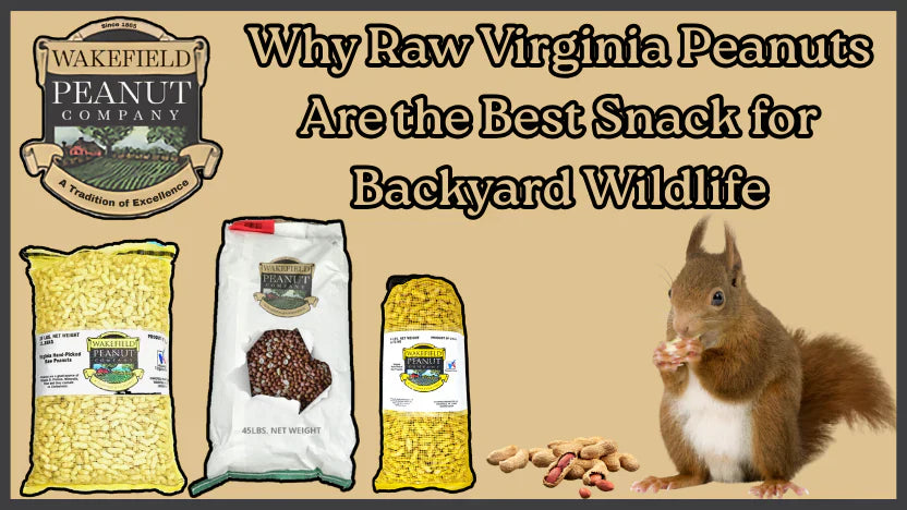 Why Raw Virginia Peanuts Are the Best Snack for Backyard Wildlife