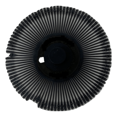 Canon Script 12 Printwheel by Rarotype
