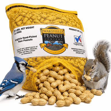 Wakefield Virginia Peanuts 25 lb in-shell animal peanuts with squirrel, blue jay, and bulk backyard peanuts