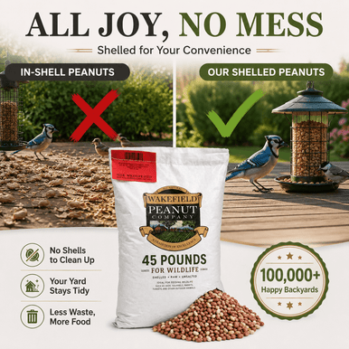Wakefield Virginia shelled animal peanuts with no shells to clean up for bird feeders and backyard wildlife