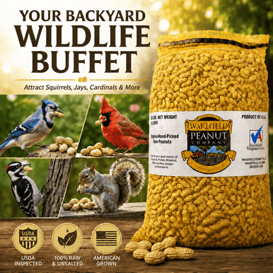 Wakefield Virginia Peanuts in-shell animal peanuts for blue jays, cardinals, squirrels, and deer