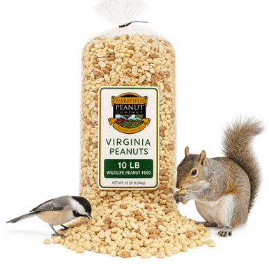 Wakefield Virginia Peanuts 10 lb wildlife peanut feed with shelled raw peanuts for squirrels and birds
