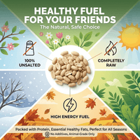Wakefield Virginia raw unsalted shelled peanuts with protein, healthy fats, and energy for wildlife