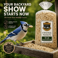 Wakefield Virginia Peanuts 10 lb shelled peanuts for attracting blue jays, cardinals, and backyard wildlife