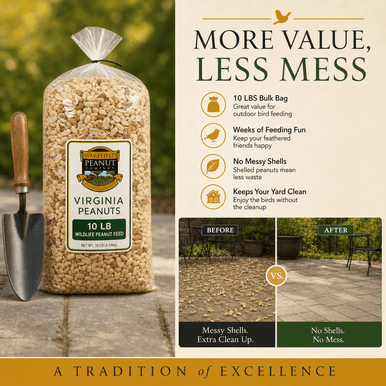 Wakefield Virginia Peanuts 10 lb shelled wildlife peanuts with no messy shells for bird feeding
