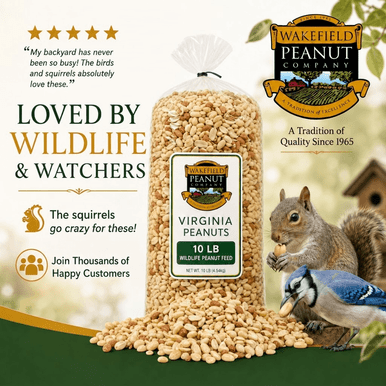 Wakefield Virginia Peanuts 10 lb bag loved by squirrels, blue jays, birds, and backyard wildlife watchers