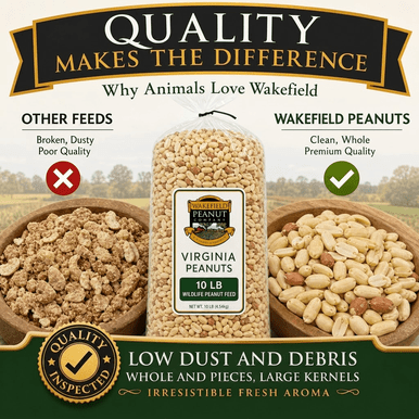 Wakefield Peanut Company 10 lb wildlife peanuts with clean whole premium Virginia peanuts and low dust