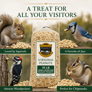 Wakefield Virginia Peanuts 10 lb animal grade raw wildlife peanuts for squirrels, jays, woodpeckers, and chipmunks